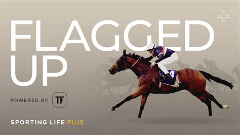 timeform results|Horse Racing Results .
